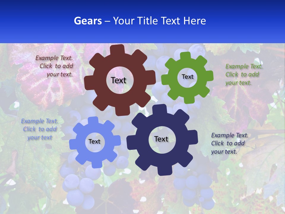 A Bunch Of Grapes Hanging From A Tree PowerPoint Template