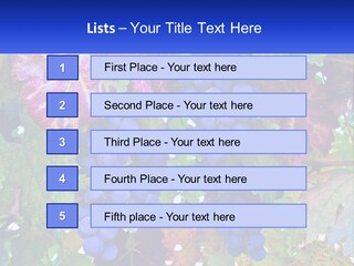 A Bunch Of Grapes Hanging From A Tree PowerPoint Template