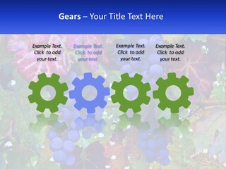 A Bunch Of Grapes Hanging From A Tree PowerPoint Template