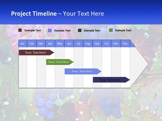 A Bunch Of Grapes Hanging From A Tree PowerPoint Template