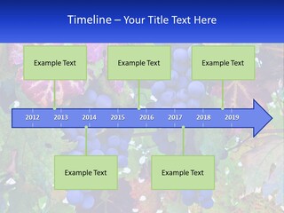 A Bunch Of Grapes Hanging From A Tree PowerPoint Template