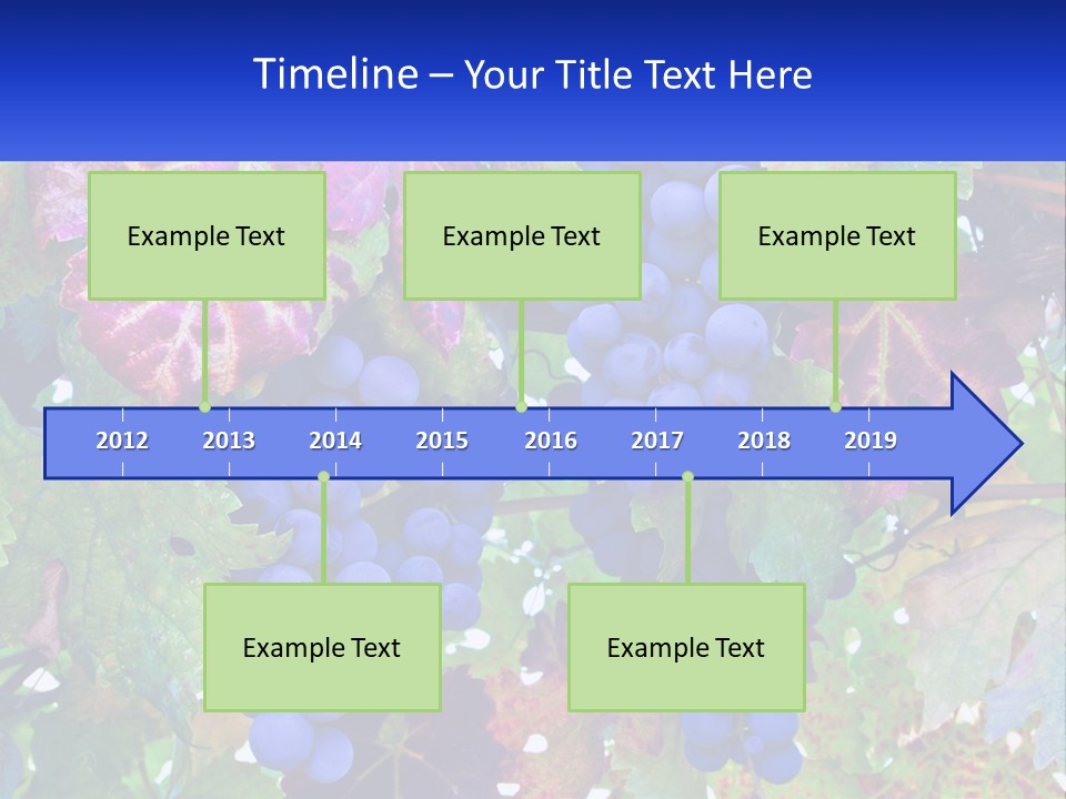 A Bunch Of Grapes Hanging From A Tree PowerPoint Template