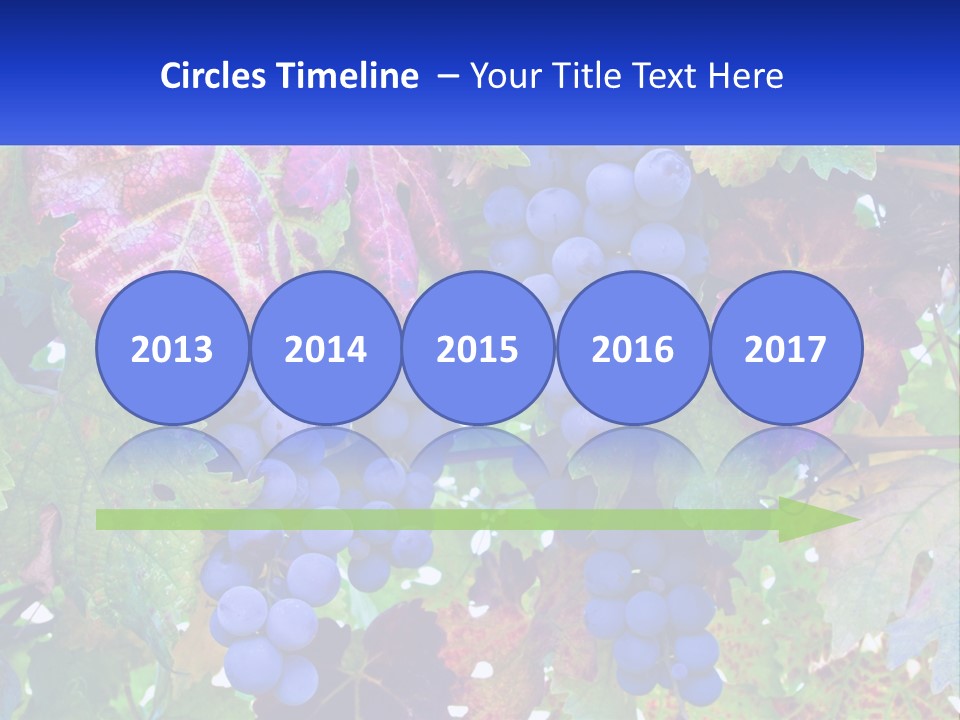 A Bunch Of Grapes Hanging From A Tree PowerPoint Template