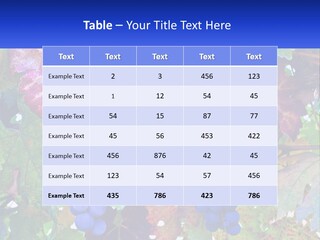 A Bunch Of Grapes Hanging From A Tree PowerPoint Template