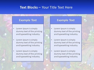 A Bunch Of Grapes Hanging From A Tree PowerPoint Template