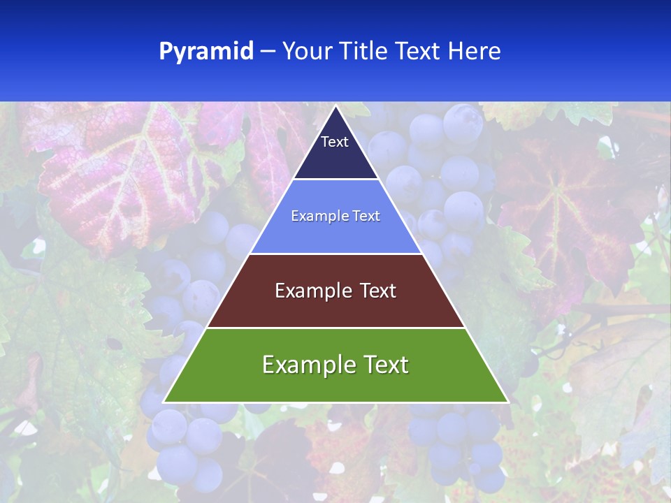 A Bunch Of Grapes Hanging From A Tree PowerPoint Template