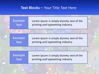 A Bunch Of Grapes Hanging From A Tree PowerPoint Template