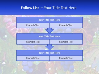 A Bunch Of Grapes Hanging From A Tree PowerPoint Template