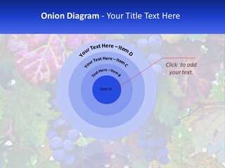 A Bunch Of Grapes Hanging From A Tree PowerPoint Template