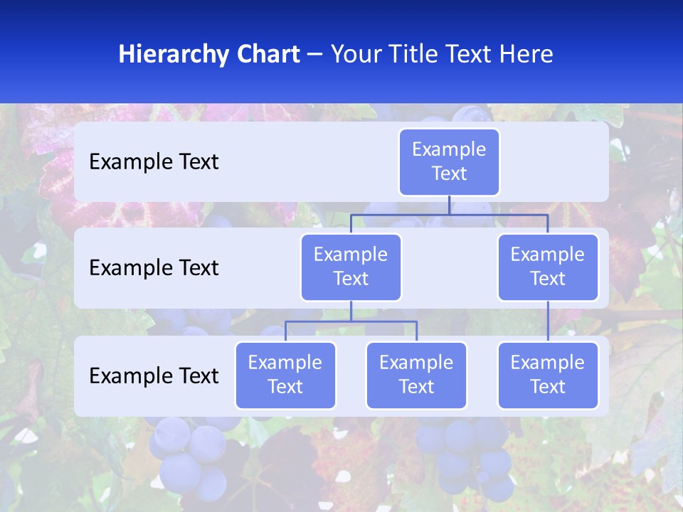 A Bunch Of Grapes Hanging From A Tree PowerPoint Template