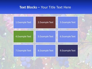 A Bunch Of Grapes Hanging From A Tree PowerPoint Template