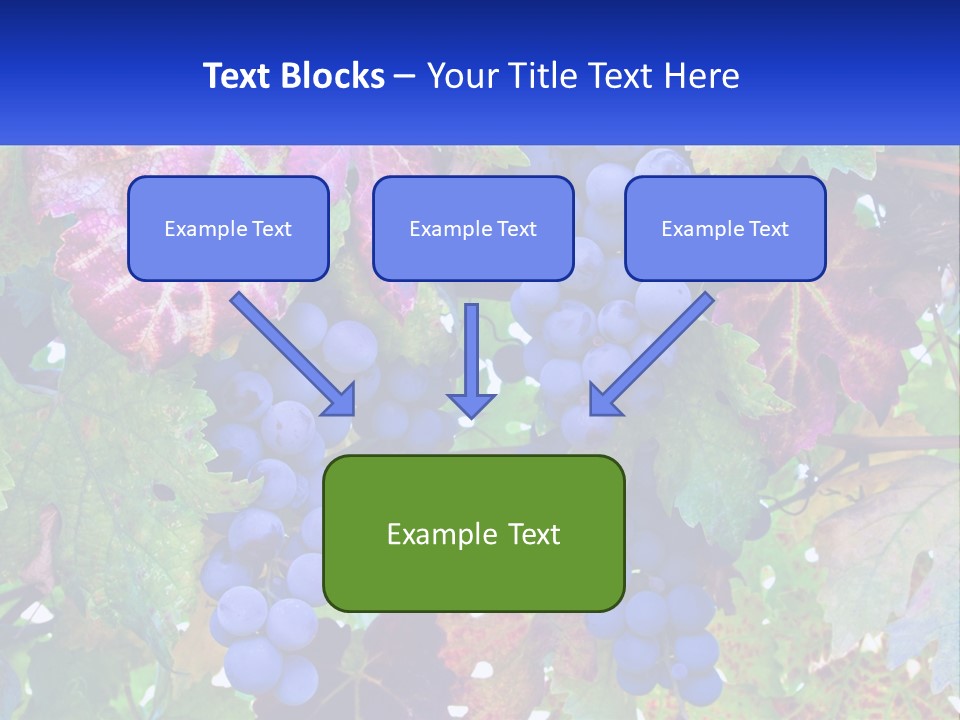 A Bunch Of Grapes Hanging From A Tree PowerPoint Template