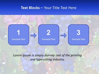 A Bunch Of Grapes Hanging From A Tree PowerPoint Template
