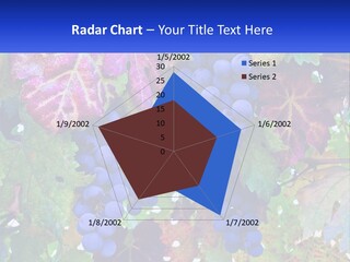 A Bunch Of Grapes Hanging From A Tree PowerPoint Template