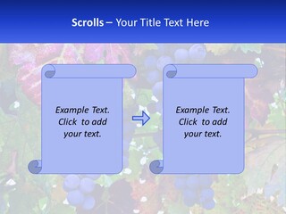 A Bunch Of Grapes Hanging From A Tree PowerPoint Template