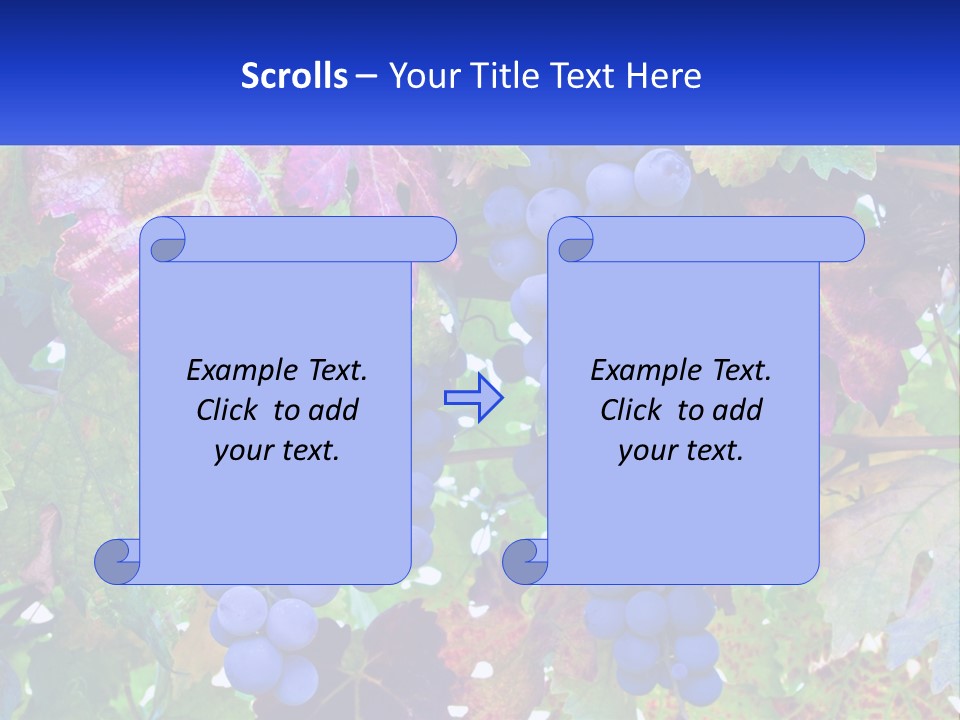 A Bunch Of Grapes Hanging From A Tree PowerPoint Template