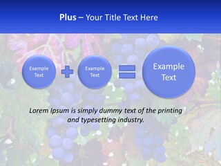 A Bunch Of Grapes Hanging From A Tree PowerPoint Template