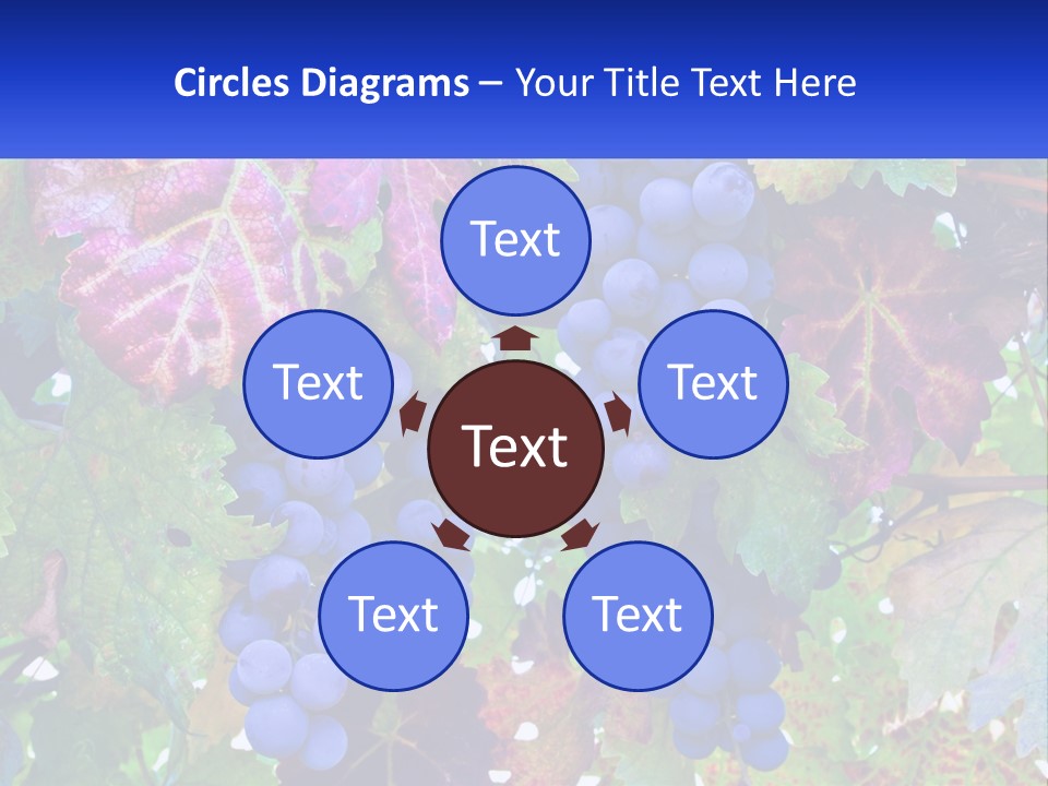 A Bunch Of Grapes Hanging From A Tree PowerPoint Template