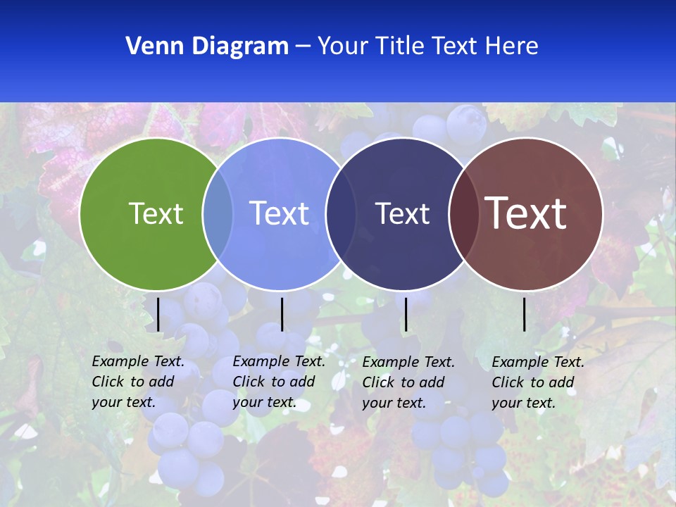 A Bunch Of Grapes Hanging From A Tree PowerPoint Template