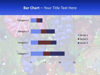 A Bunch Of Grapes Hanging From A Tree PowerPoint Template