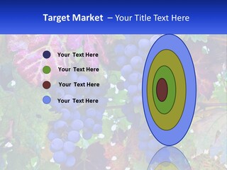 A Bunch Of Grapes Hanging From A Tree PowerPoint Template