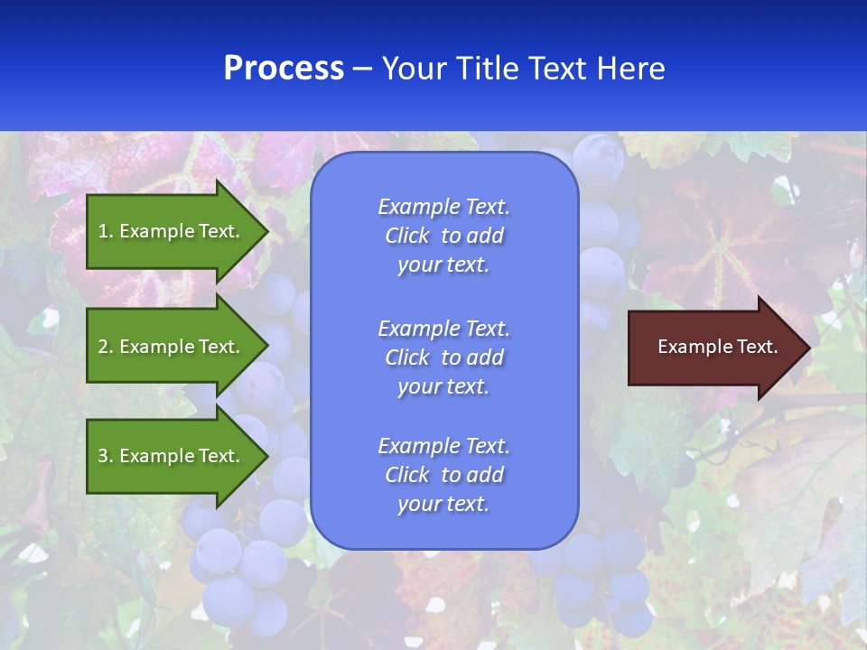A Bunch Of Grapes Hanging From A Tree PowerPoint Template