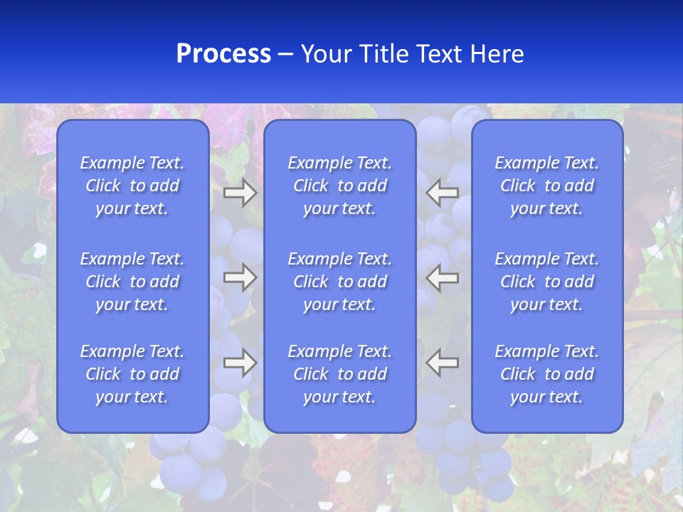 A Bunch Of Grapes Hanging From A Tree PowerPoint Template