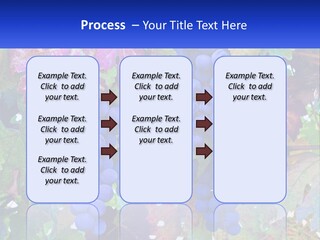 A Bunch Of Grapes Hanging From A Tree PowerPoint Template