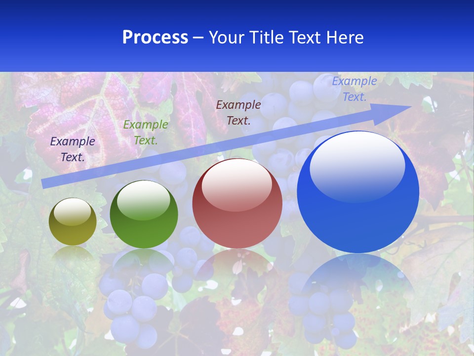 A Bunch Of Grapes Hanging From A Tree PowerPoint Template