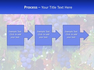 A Bunch Of Grapes Hanging From A Tree PowerPoint Template