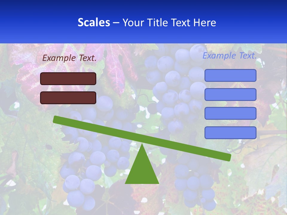 A Bunch Of Grapes Hanging From A Tree PowerPoint Template