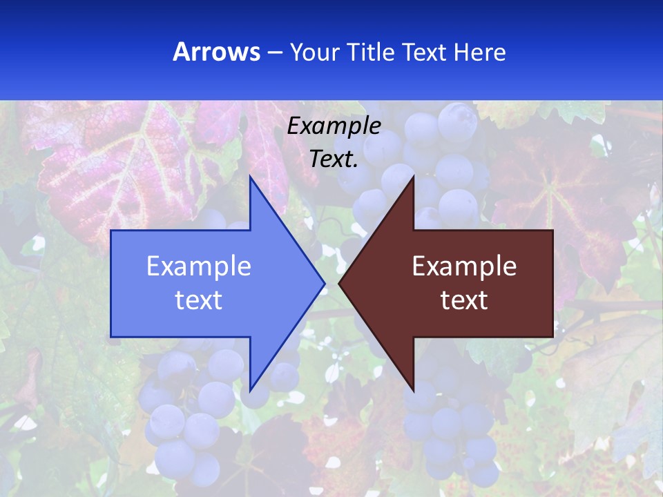 A Bunch Of Grapes Hanging From A Tree PowerPoint Template