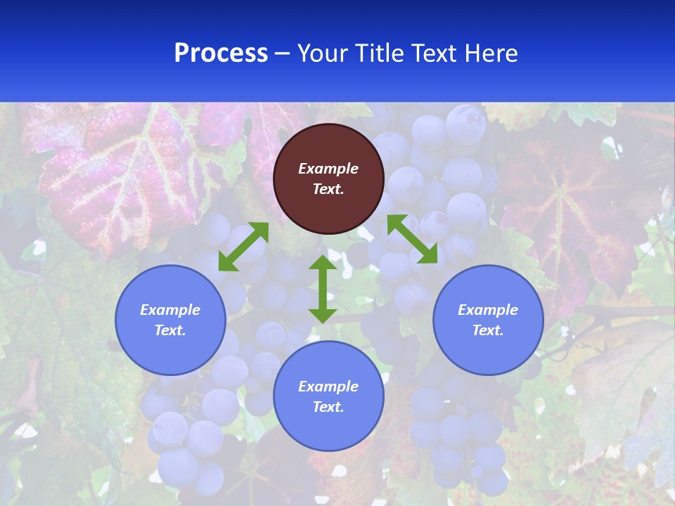 A Bunch Of Grapes Hanging From A Tree PowerPoint Template