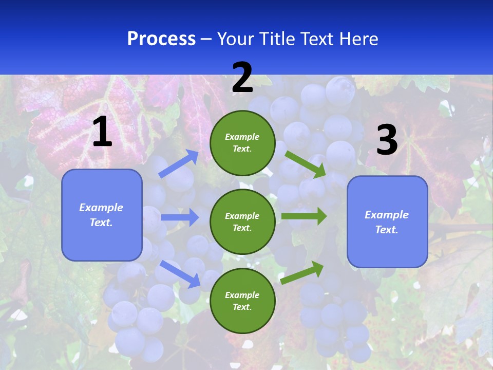 A Bunch Of Grapes Hanging From A Tree PowerPoint Template