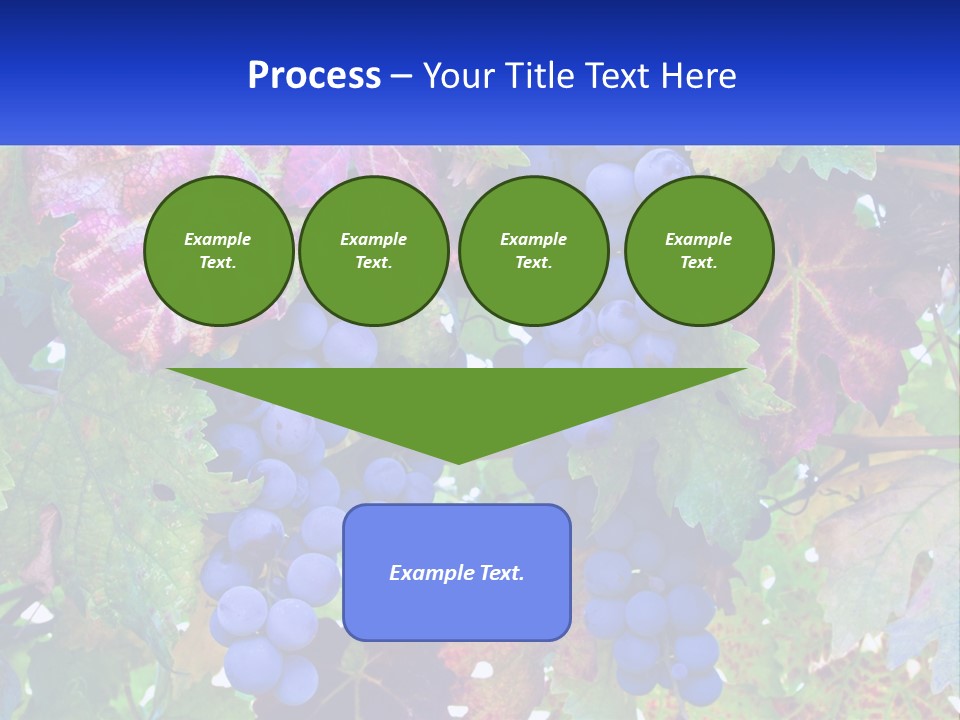 A Bunch Of Grapes Hanging From A Tree PowerPoint Template