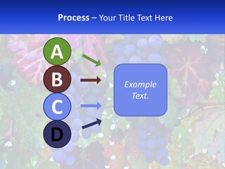 A Bunch Of Grapes Hanging From A Tree PowerPoint Template