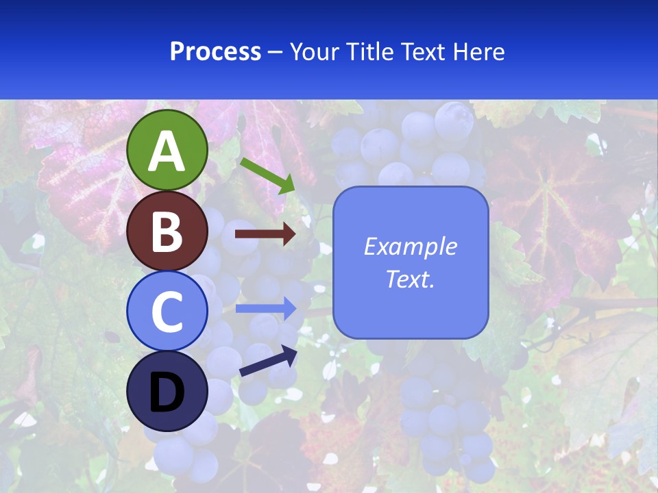 A Bunch Of Grapes Hanging From A Tree PowerPoint Template