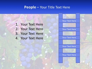 A Bunch Of Grapes Hanging From A Tree PowerPoint Template