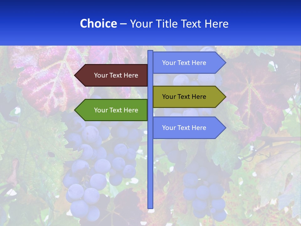 A Bunch Of Grapes Hanging From A Tree PowerPoint Template