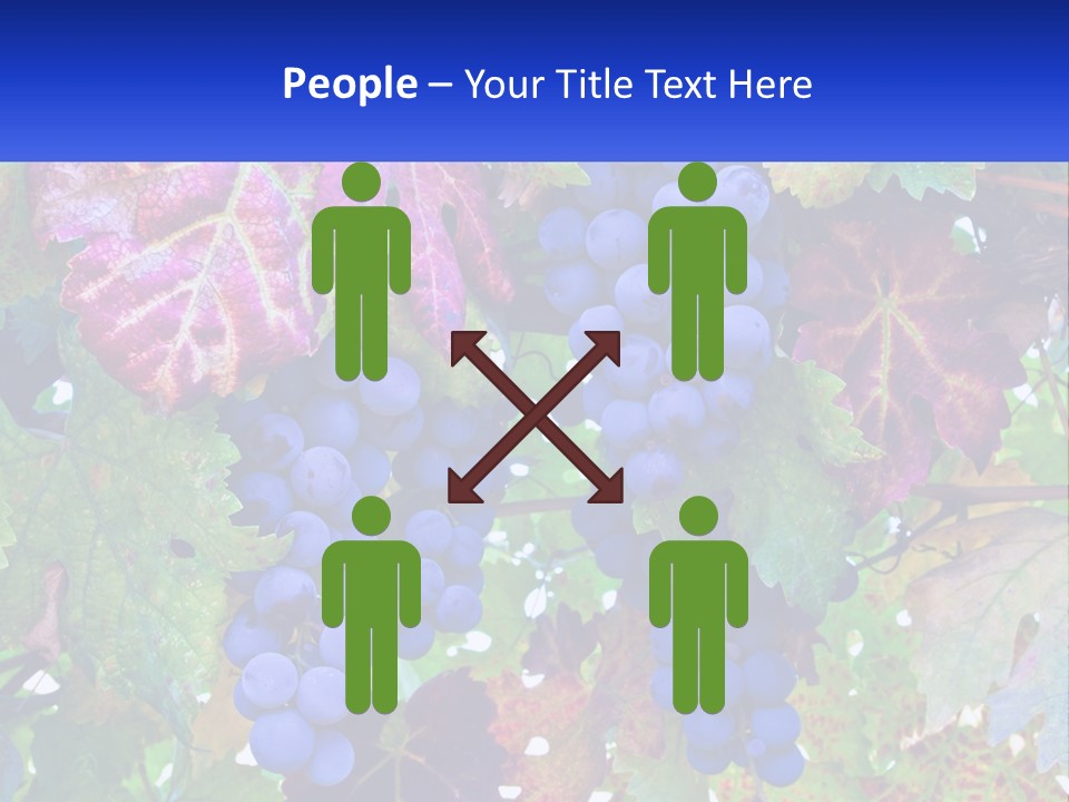 A Bunch Of Grapes Hanging From A Tree PowerPoint Template