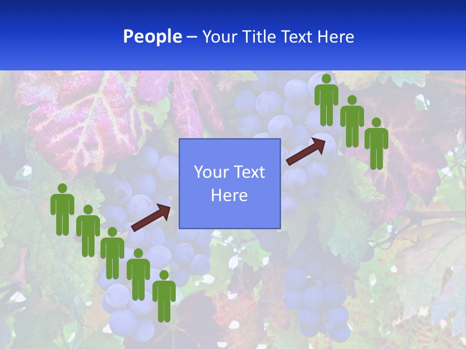 A Bunch Of Grapes Hanging From A Tree PowerPoint Template