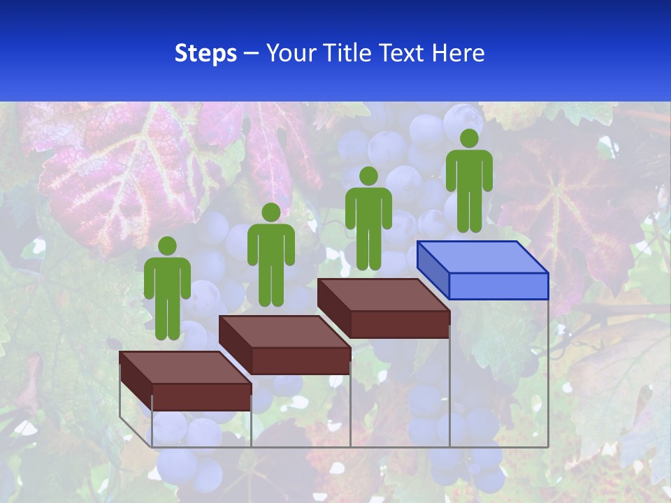 A Bunch Of Grapes Hanging From A Tree PowerPoint Template