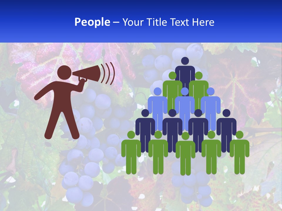 A Bunch Of Grapes Hanging From A Tree PowerPoint Template