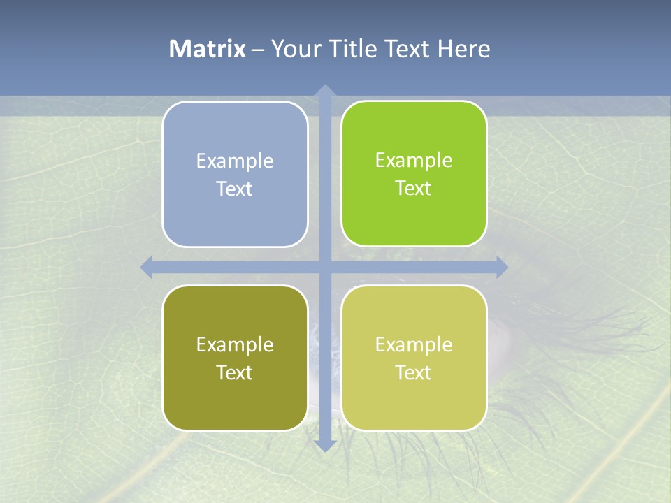 A Close Up Of A Leaf With A Blue Eye PowerPoint Template