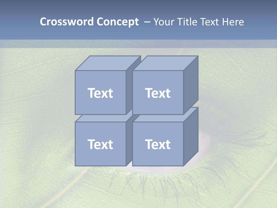 A Close Up Of A Leaf With A Blue Eye PowerPoint Template