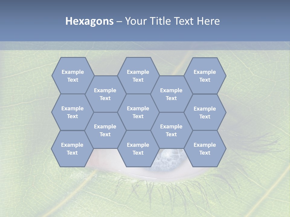 A Close Up Of A Leaf With A Blue Eye PowerPoint Template