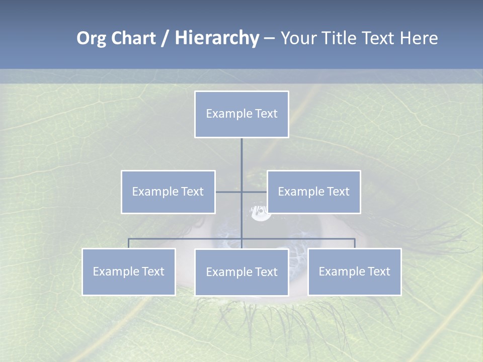 A Close Up Of A Leaf With A Blue Eye PowerPoint Template