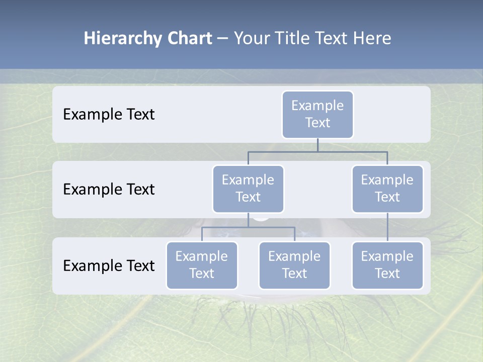 A Close Up Of A Leaf With A Blue Eye PowerPoint Template