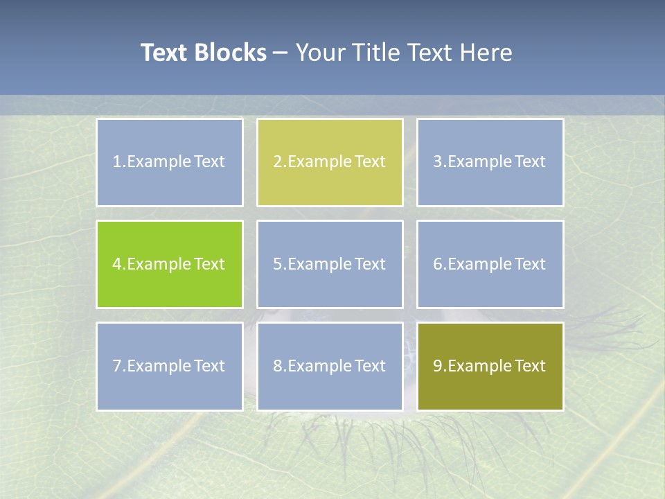 A Close Up Of A Leaf With A Blue Eye PowerPoint Template