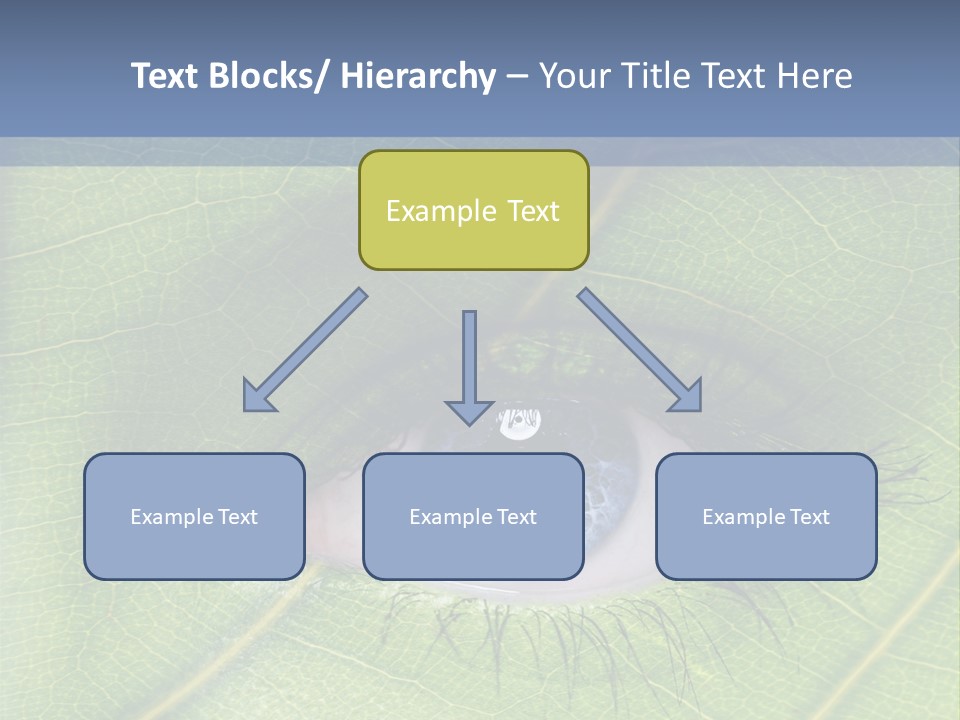 A Close Up Of A Leaf With A Blue Eye PowerPoint Template